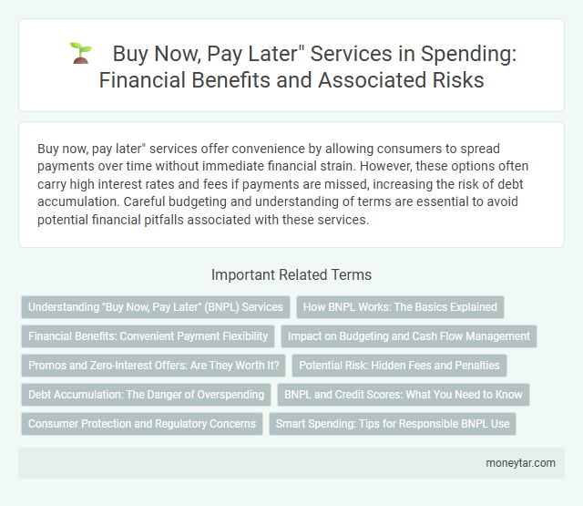 Buy Now, Pay Later Services in Spending: Financial Benefits and Associated Risks