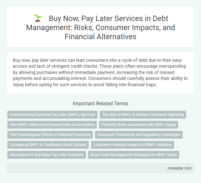 Buy Now, Pay Later Services in Debt Management: Risks, Consumer Impacts, and Financial Alternatives