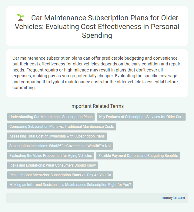 Car Maintenance Subscription Plans for Older Vehicles: Evaluating Cost-Effectiveness in Personal Spending