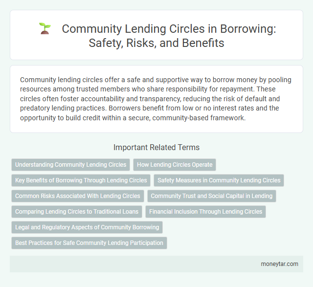Community Lending Circles in Borrowing: Safety, Risks, and Benefits