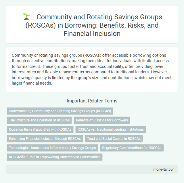 Community and Rotating Savings Groups (ROSCAs) in Borrowing: Benefits, Risks, and Financial Inclusion