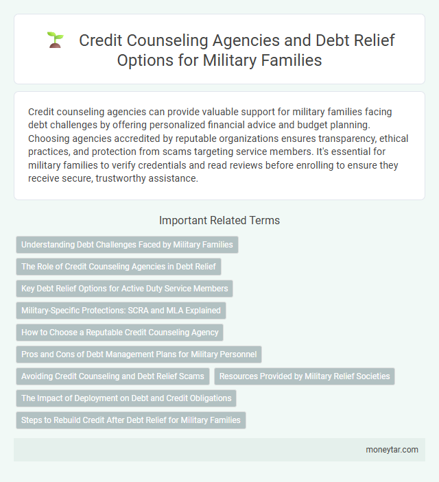 Credit Counseling Agencies and Debt Relief Options for Military Families