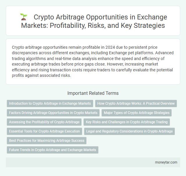 Crypto Arbitrage Opportunities in Exchange Markets: Profitability, Risks, and Key Strategies