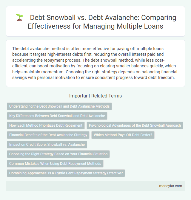 Debt Snowball vs. Debt Avalanche: Comparing Effectiveness for Managing Multiple Loans