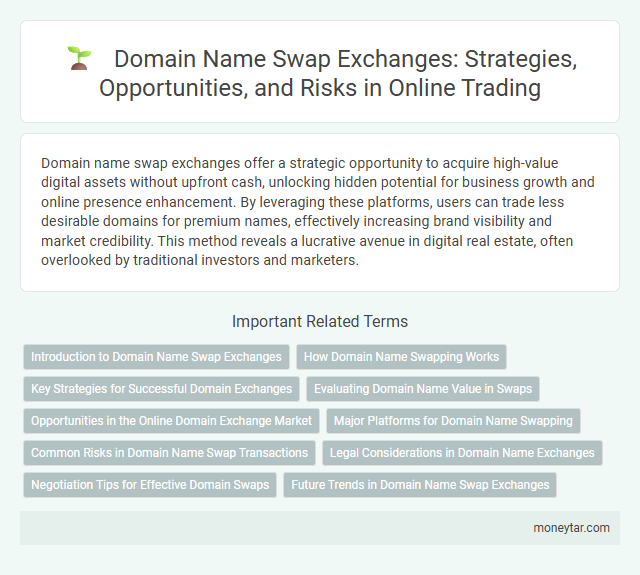 Domain Name Swap Exchanges: Strategies, Opportunities, and Risks in Online Trading