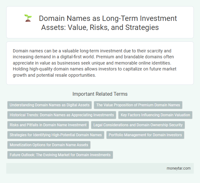 Domain Names as Long-Term Investment Assets: Value, Risks, and Strategies