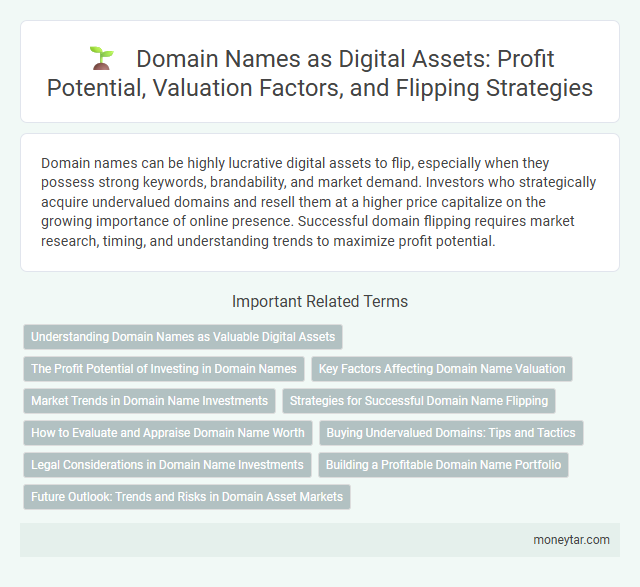 Domain Names as Digital Assets: Profit Potential, Valuation Factors, and Flipping Strategies