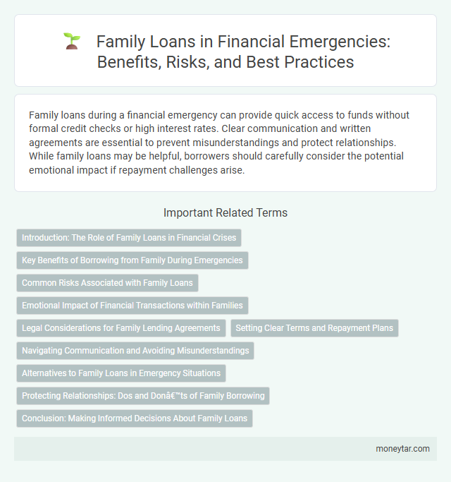 Family Loans in Financial Emergencies: Benefits, Risks, and Best Practices