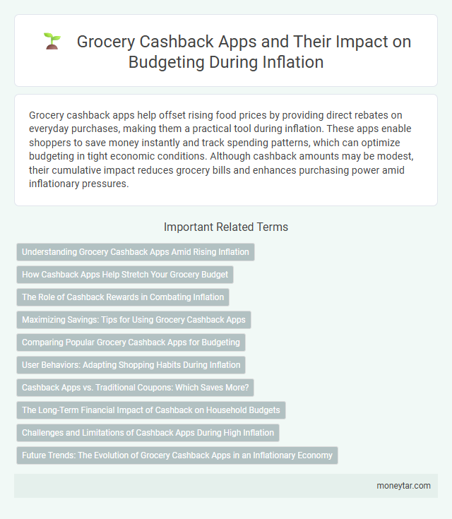 Grocery Cashback Apps and Their Impact on Budgeting During Inflation