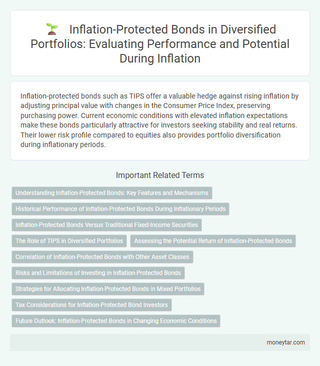 Inflation-Protected Bonds in Diversified Portfolios: Evaluating Performance and Potential During Inflation