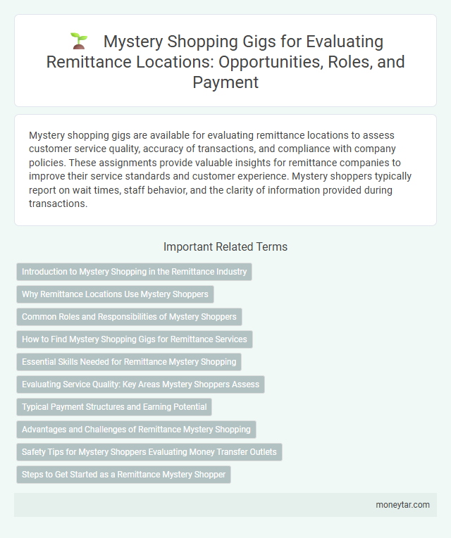 Mystery Shopping Gigs for Evaluating Remittance Locations: Opportunities, Roles, and Payment