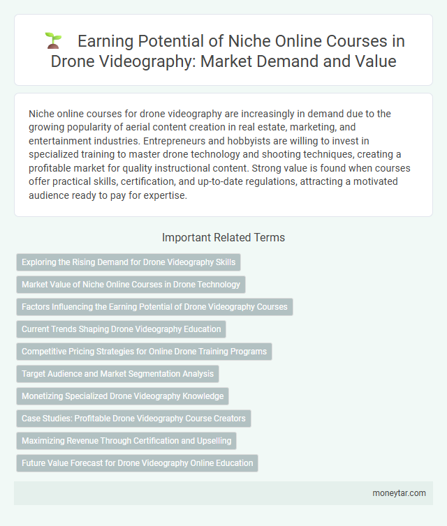 Earning Potential of Niche Online Courses in Drone Videography: Market Demand and Value