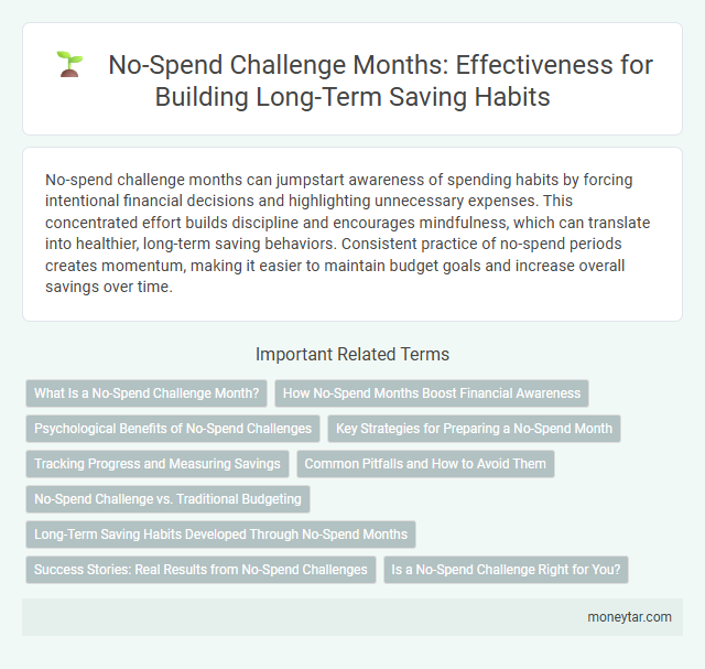 No-Spend Challenge Months: Effectiveness for Building Long-Term Saving Habits