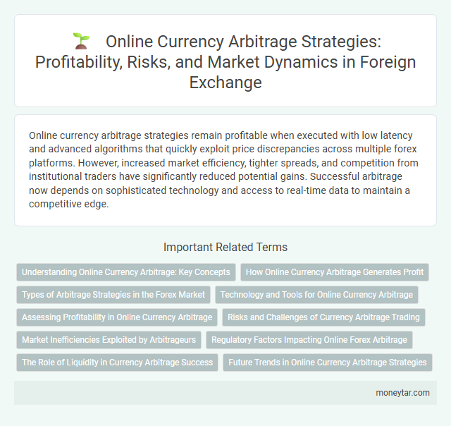 Online Currency Arbitrage Strategies: Profitability, Risks, and Market Dynamics in Foreign Exchange