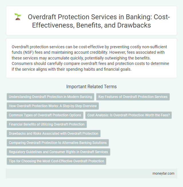Overdraft Protection Services in Banking: Cost-Effectiveness, Benefits, and Drawbacks