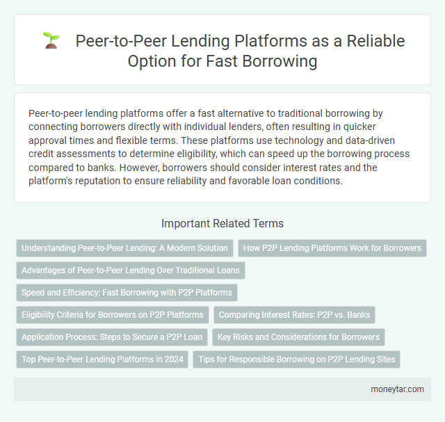 Peer-to-Peer Lending Platforms as a Reliable Option for Fast Borrowing