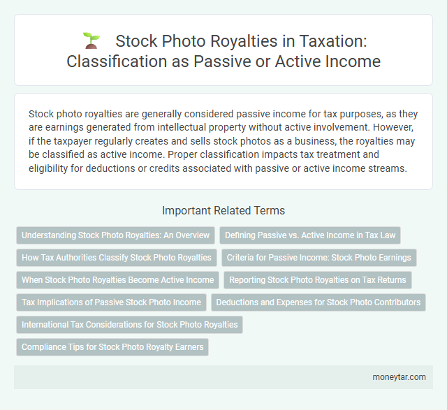 Stock Photo Royalties in Taxation: Classification as Passive or Active Income