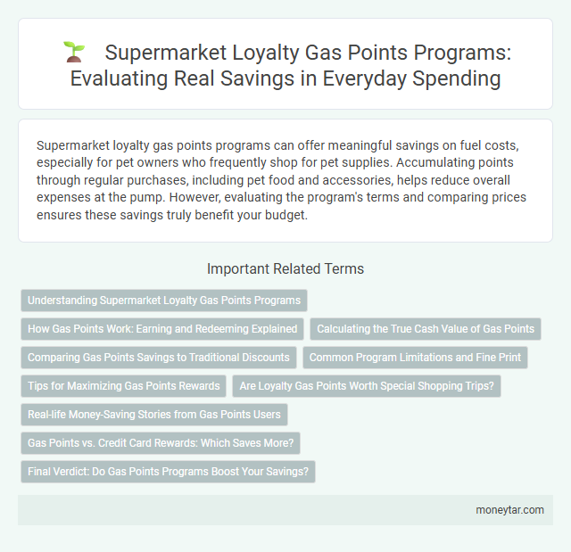 Supermarket Loyalty Gas Points Programs: Evaluating Real Savings in Everyday Spending