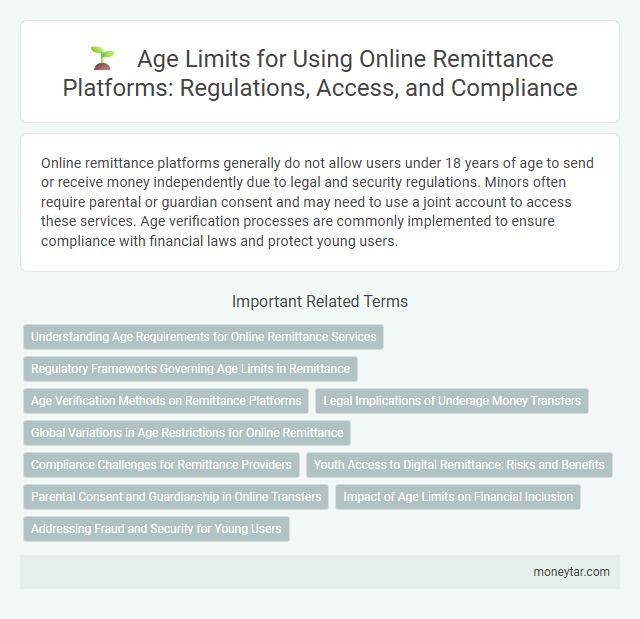 Age Limits for Using Online Remittance Platforms: Regulations, Access, and Compliance