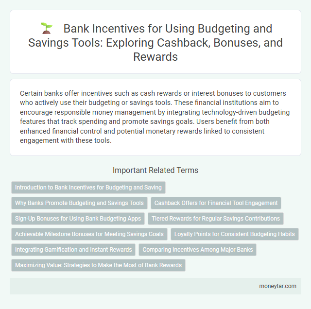 Bank Incentives for Using Budgeting and Savings Tools: Exploring Cashback, Bonuses, and Rewards