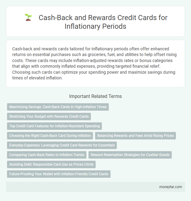Cash-Back and Rewards Credit Cards for Inflationary Periods