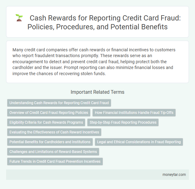 Cash Rewards for Reporting Credit Card Fraud: Policies, Procedures, and Potential Benefits