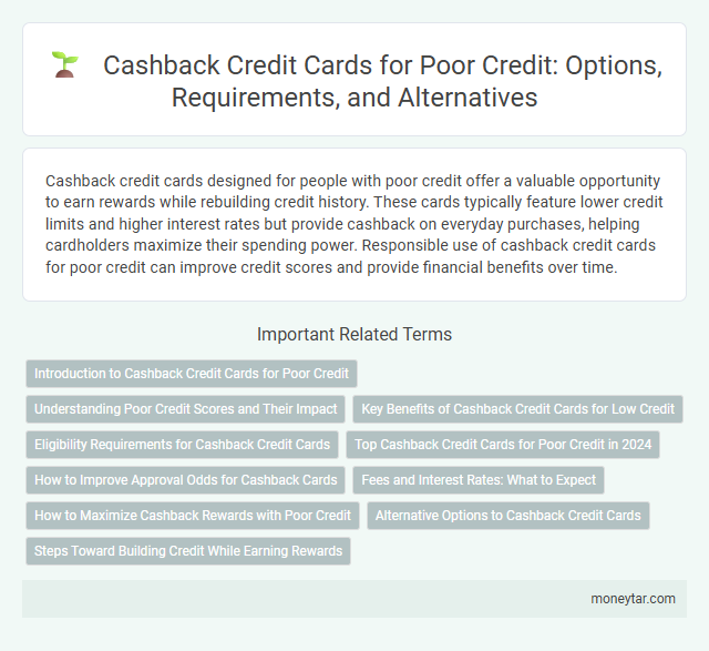 Cashback Credit Cards for Poor Credit: Options, Requirements, and Alternatives