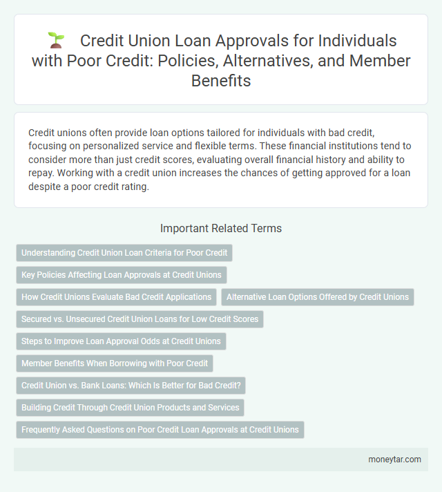 Credit Union Loan Approvals for Individuals with Poor Credit: Policies, Alternatives, and Member Benefits