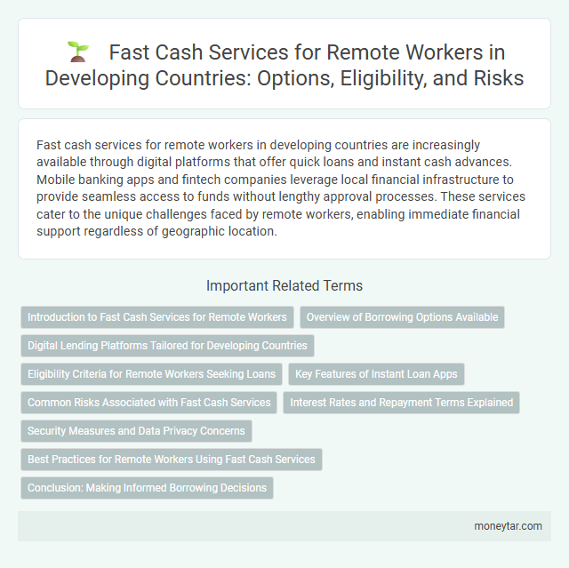 Fast Cash Services for Remote Workers in Developing Countries: Options, Eligibility, and Risks