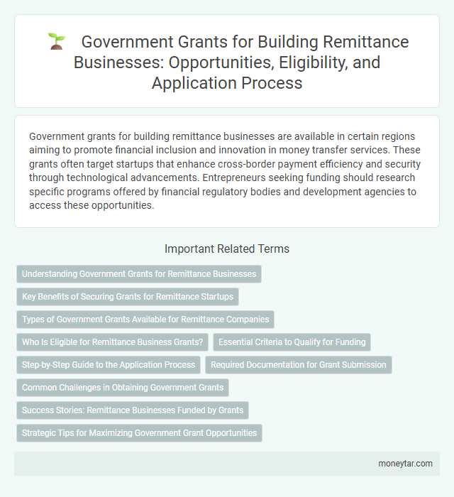 Government Grants for Building Remittance Businesses: Opportunities, Eligibility, and Application Process