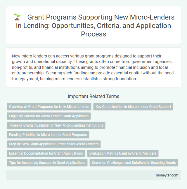 Grant Programs Supporting New Micro-Lenders in Lending: Opportunities, Criteria, and Application Process