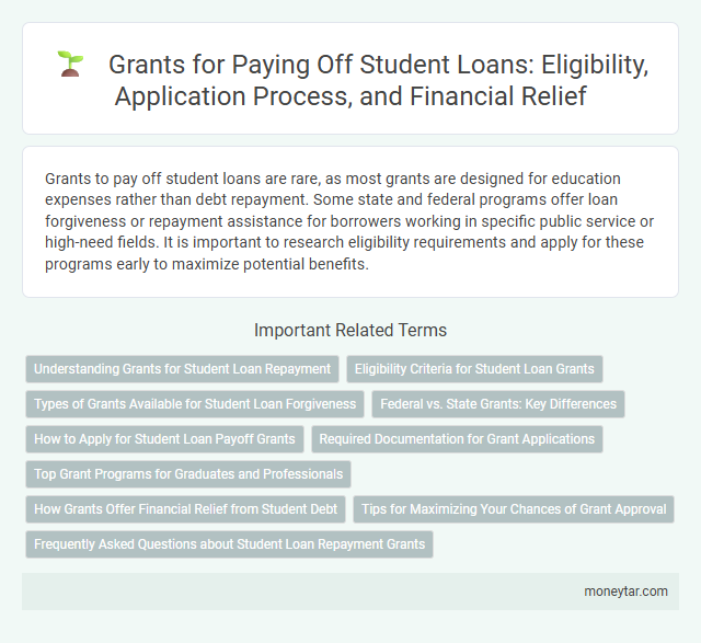 Grants for Paying Off Student Loans: Eligibility, Application Process, and Financial Relief