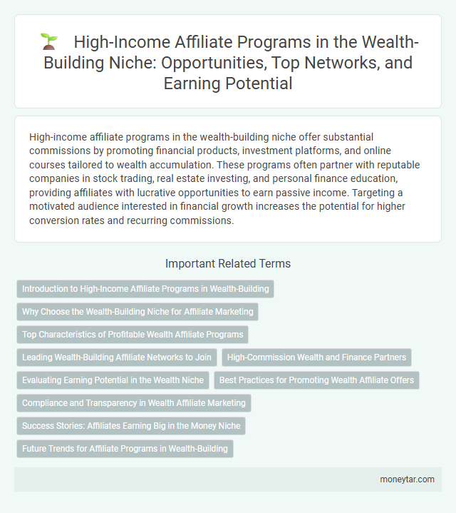 High-Income Affiliate Programs in the Wealth-Building Niche: Opportunities, Top Networks, and Earning Potential