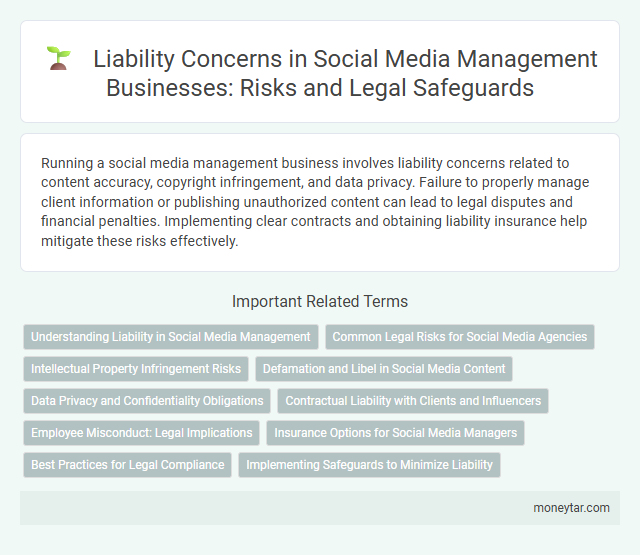 Liability Concerns in Social Media Management Businesses: Risks and Legal Safeguards