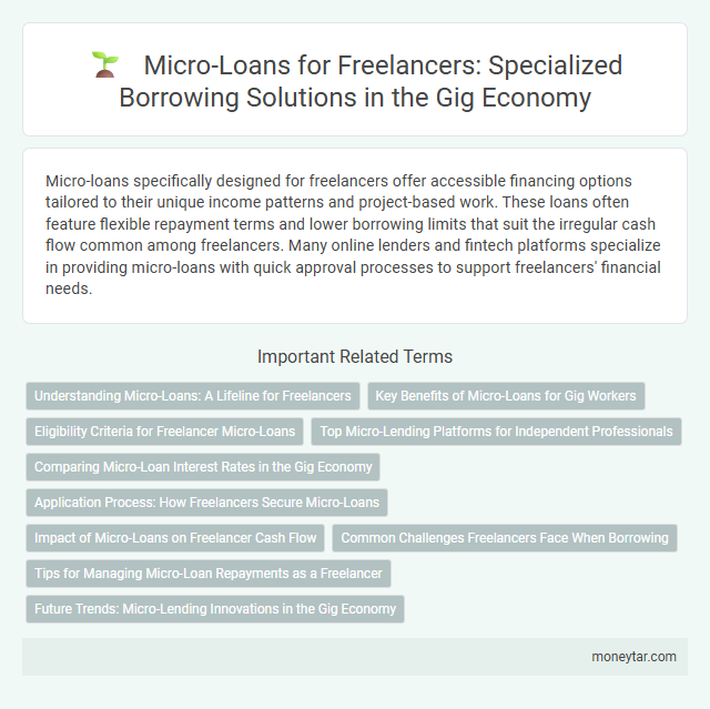 Micro-Loans for Freelancers: Specialized Borrowing Solutions in the Gig Economy