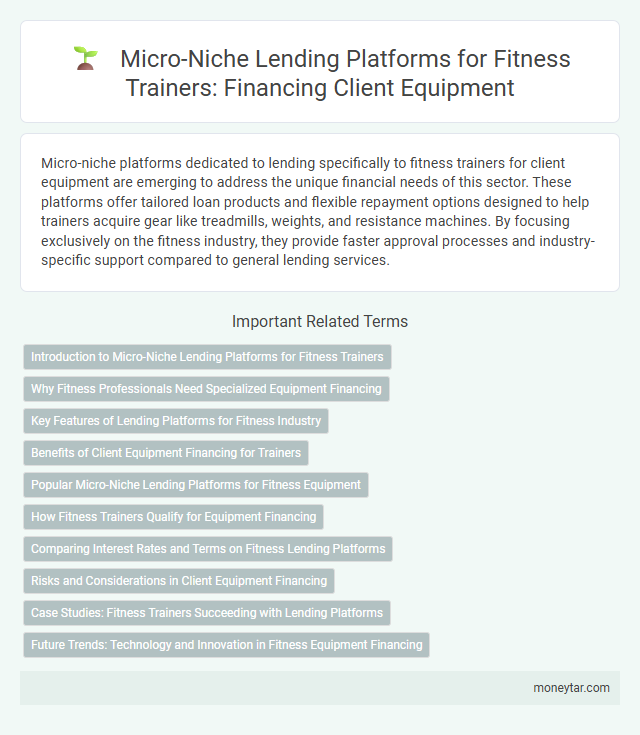 Micro-Niche Lending Platforms for Fitness Trainers: Financing Client Equipment