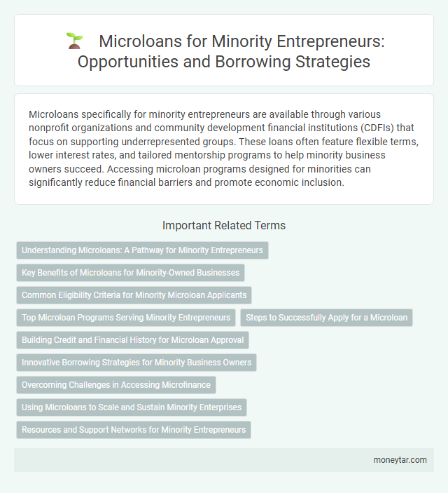Microloans for Minority Entrepreneurs: Opportunities and Borrowing Strategies