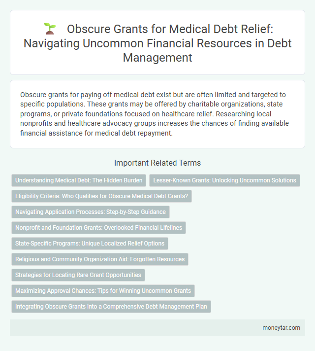 Obscure Grants for Medical Debt Relief: Navigating Uncommon Financial Resources in Debt Management