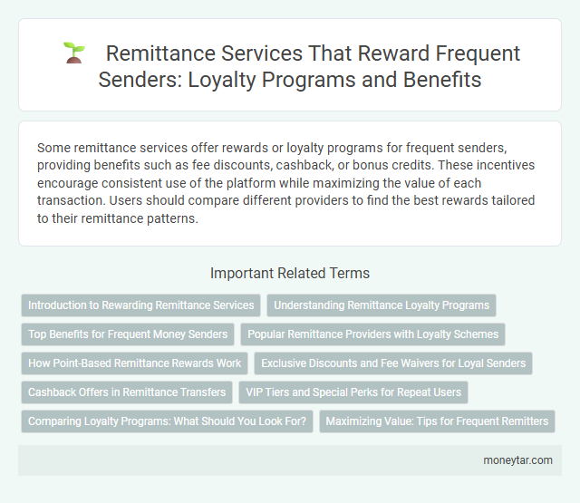 Remittance Services That Reward Frequent Senders: Loyalty Programs and Benefits
