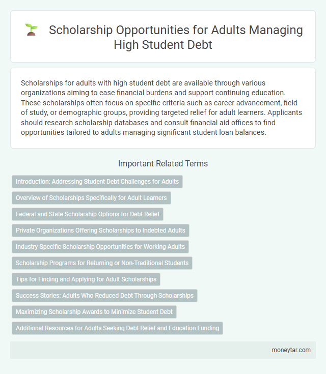 Scholarship Opportunities for Adults Managing High Student Debt