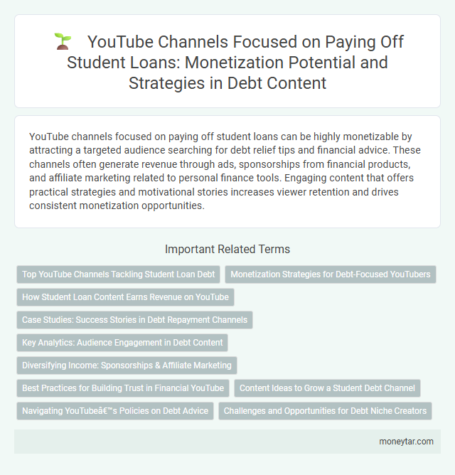 YouTube Channels Focused on Paying Off Student Loans: Monetization Potential and Strategies in Debt Content