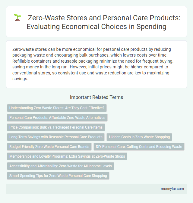 Zero-Waste Stores and Personal Care Products: Evaluating Economical Choices in Spending