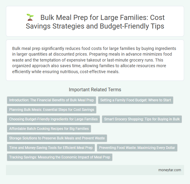 Bulk Meal Prep for Large Families: Cost Savings Strategies and Budget-Friendly Tips