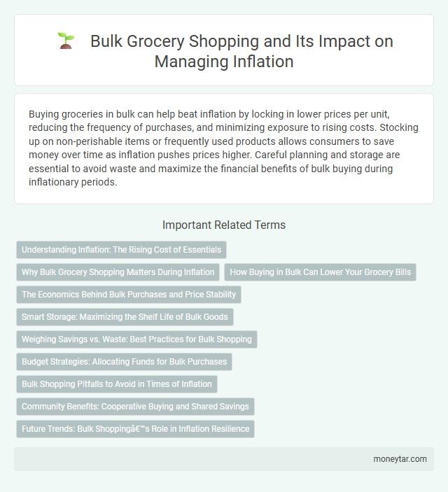 Bulk Grocery Shopping and Its Impact on Managing Inflation
