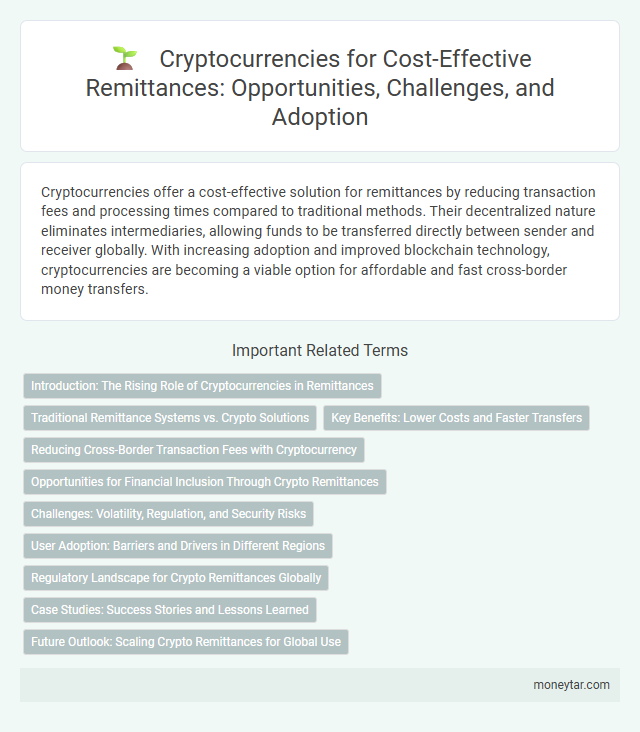Cryptocurrencies for Cost-Effective Remittances: Opportunities, Challenges, and Adoption
