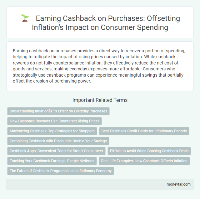 Earning Cashback on Purchases: Offsetting Inflation's Impact on Consumer Spending