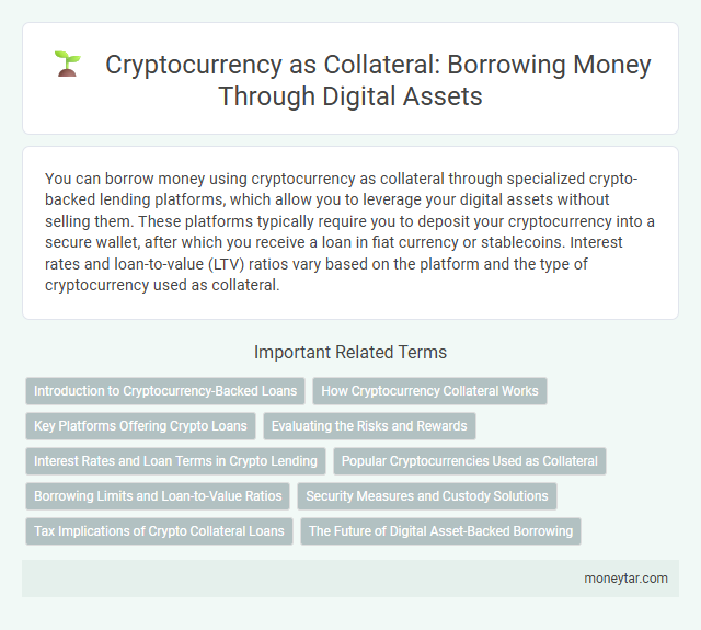 Cryptocurrency as Collateral: Borrowing Money Through Digital Assets