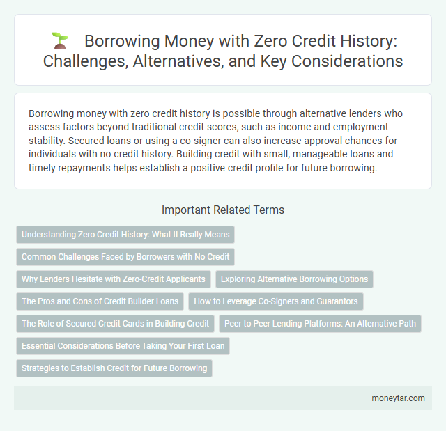 Borrowing Money with Zero Credit History: Challenges, Alternatives, and Key Considerations