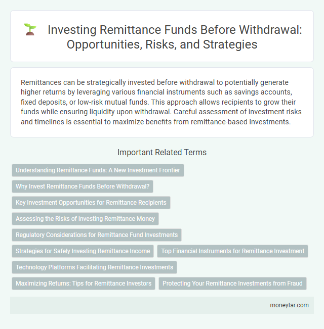 Investing Remittance Funds Before Withdrawal: Opportunities, Risks, and Strategies