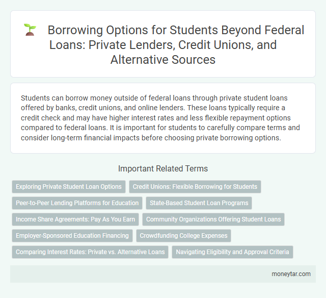 Borrowing Options for Students Beyond Federal Loans: Private Lenders, Credit Unions, and Alternative Sources